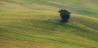 Leggi tutto: Fino all’ultimo respiro: lotta spirituale e preghiera nei padri del deserto