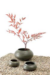 Read more: Ikebana