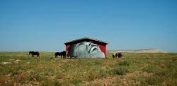 Chip Thomas, The Painted Desert Project